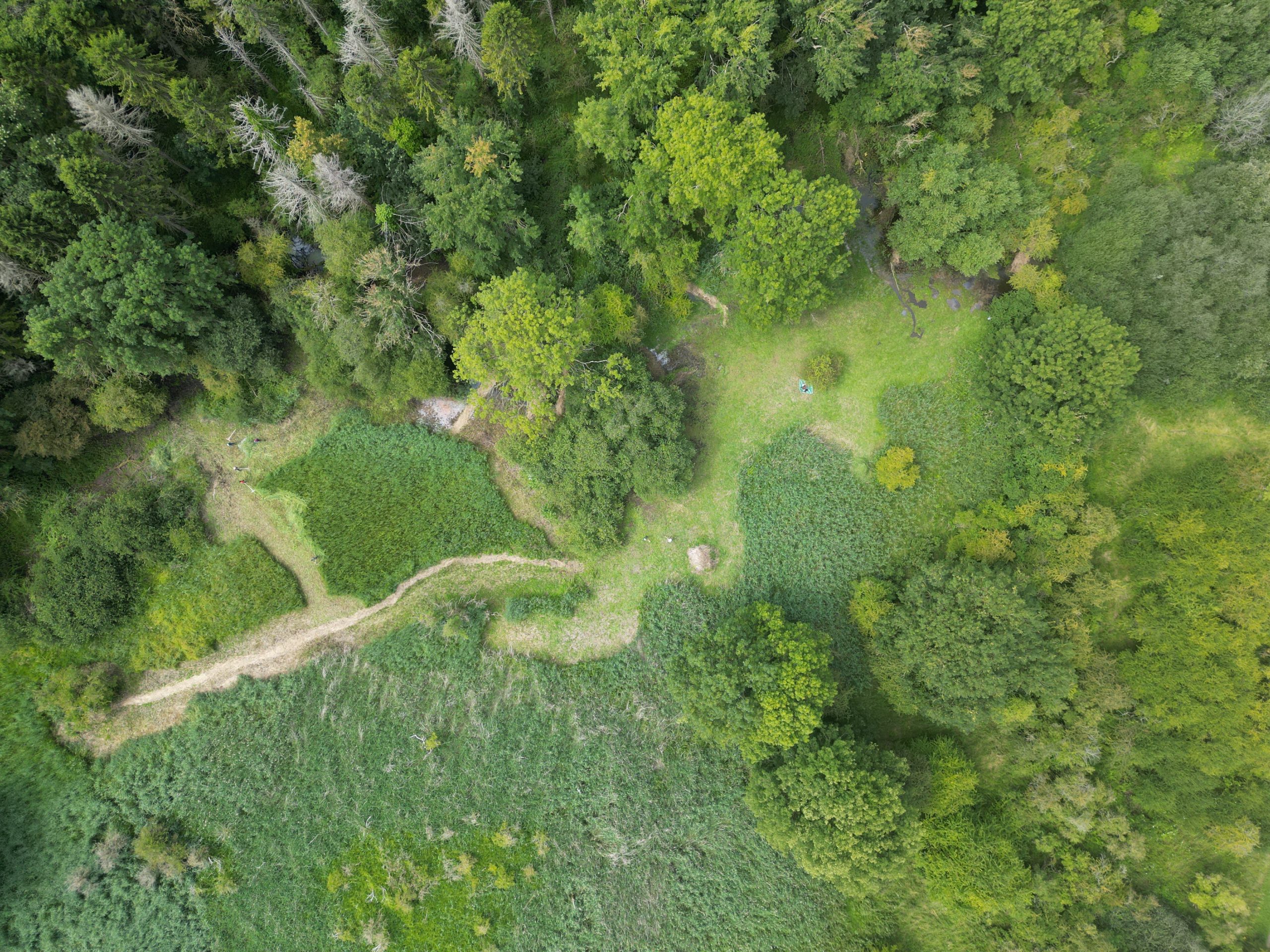 Fens - Freshwater Habitats Trust