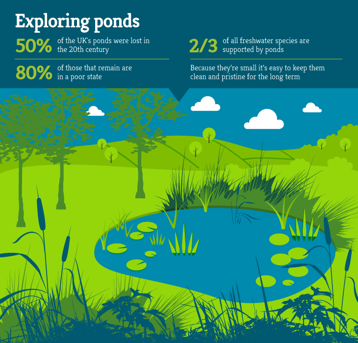 Ponds - Freshwater Habitats TrustFreshwater Habitats Trust