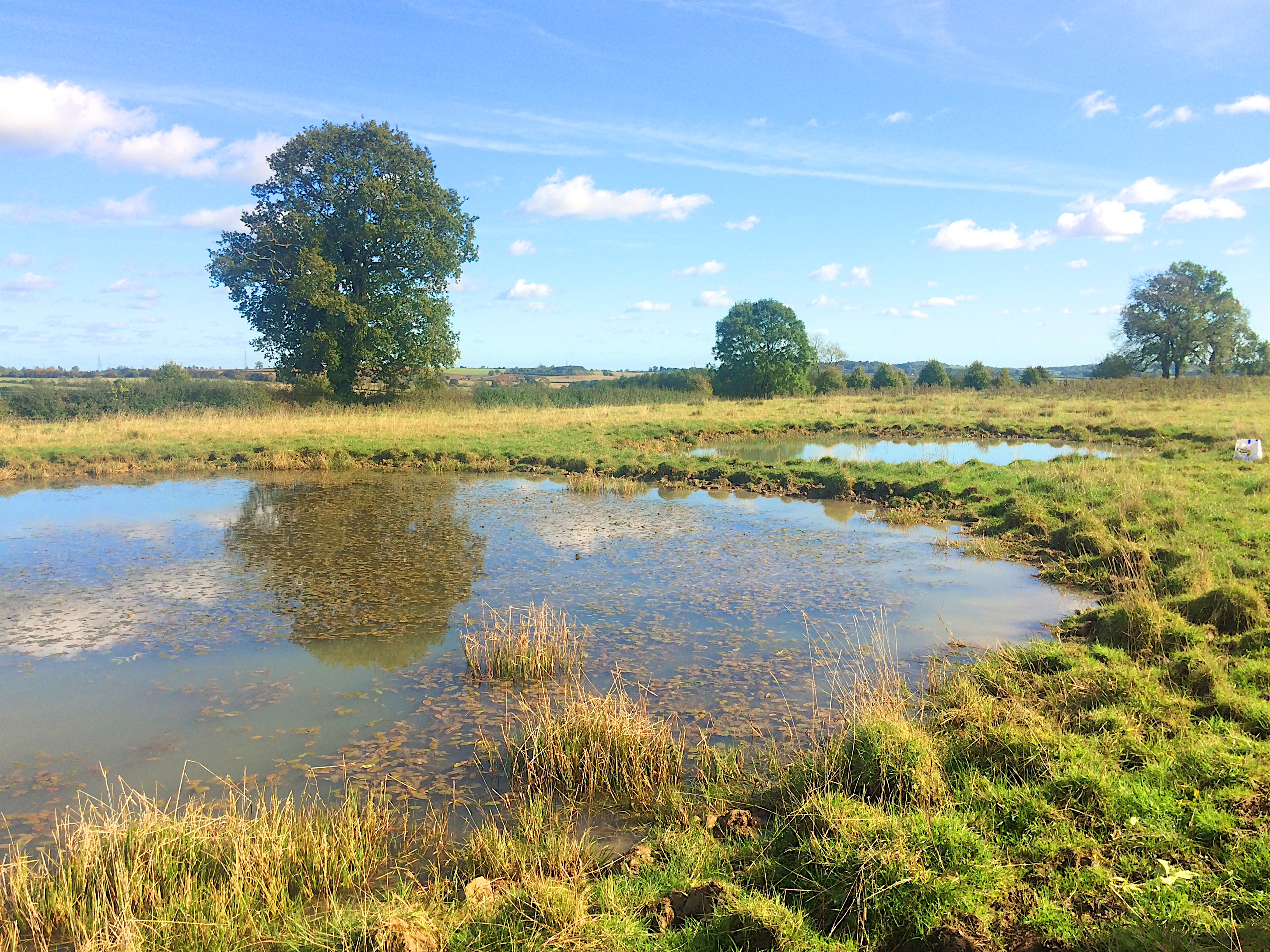 Dig ponds to increase biodiversity! - Freshwater Habitats TrustFreshwater  Habitats Trust