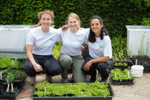 Staff from Freshwater Habitats Trust crouch behind a selection of wetland plants. being grown for the GroWet project at Oxford Botanic Garden.