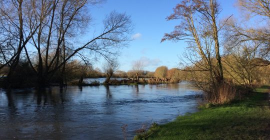 The River Thames at Port Meadow, with trees in the background and a blue sky